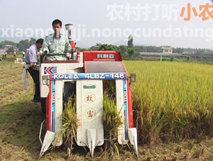 科利亚4LBZ-180半喂入水稻联合收割机