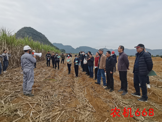 农业农村部专家赴广西调研 为甘蔗生产全程机械化“把脉会诊”